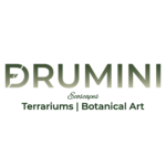 Drumini Logo
