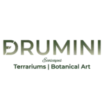 Drumini Logo