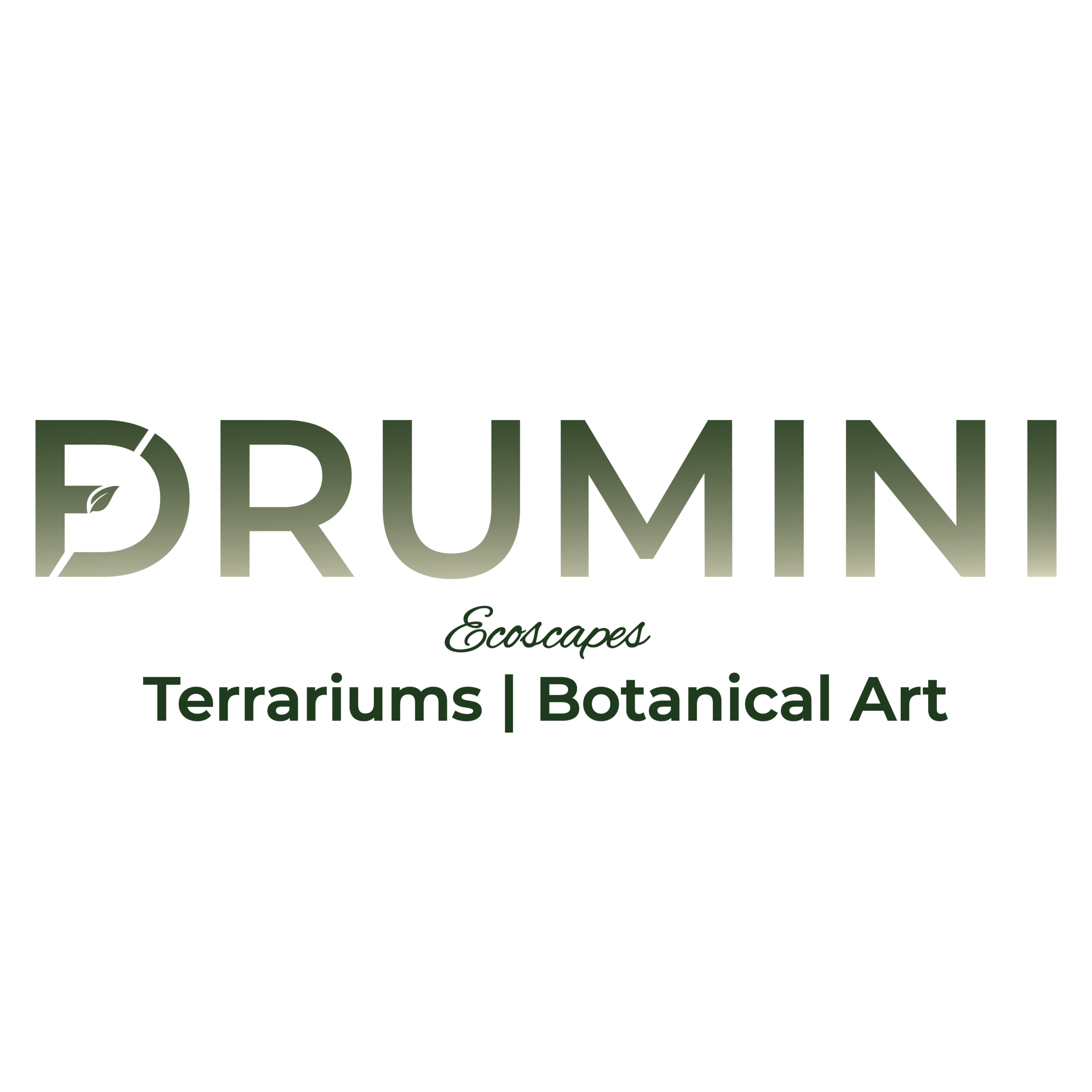 Drumini Logo